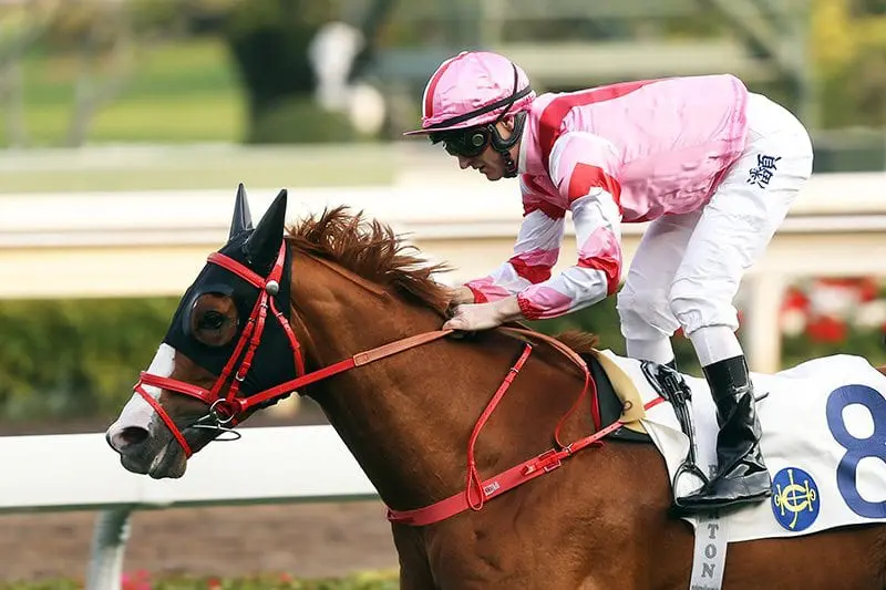 Aussie Zac Purton rides home five winners at Sha Tin